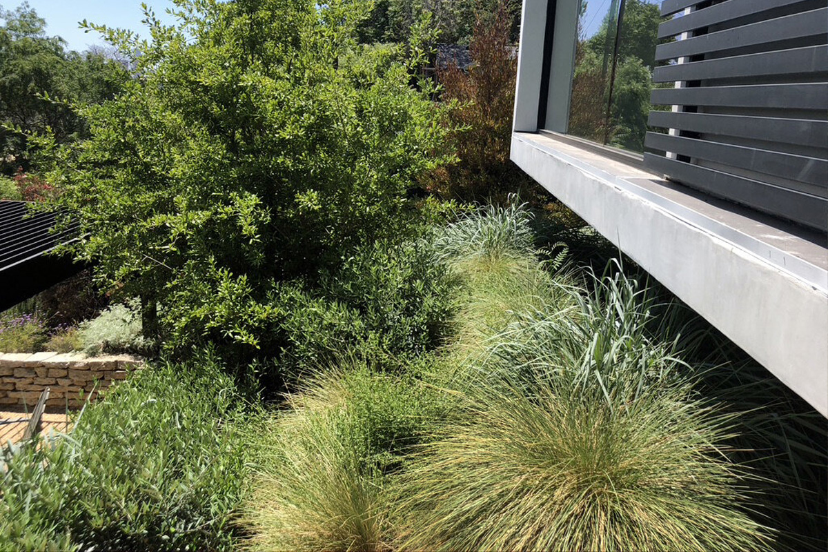 Otherwind California - Elysian Heights - Garden