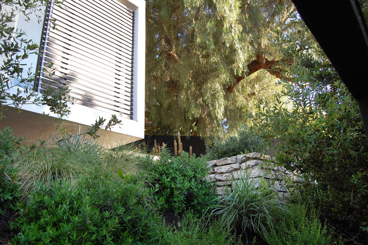 Otherwind California - Elysian Heights - Garden