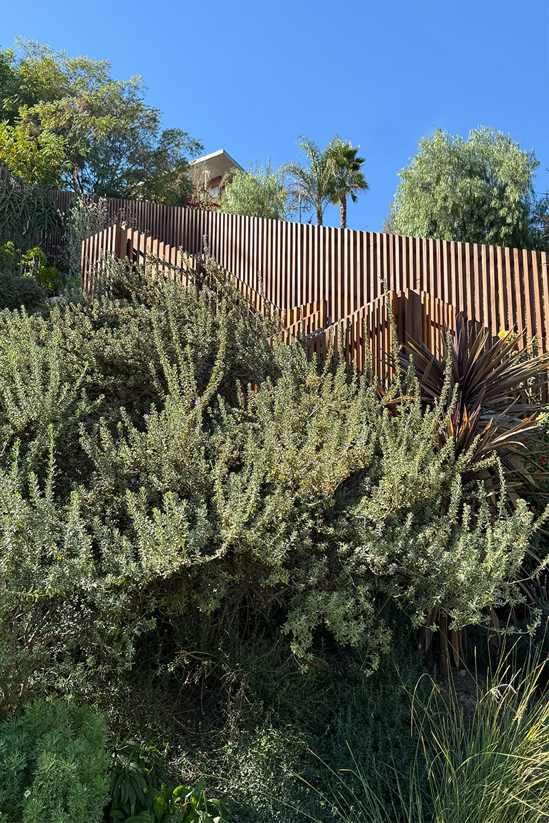 Otherwind California - Ave 37 - Garden