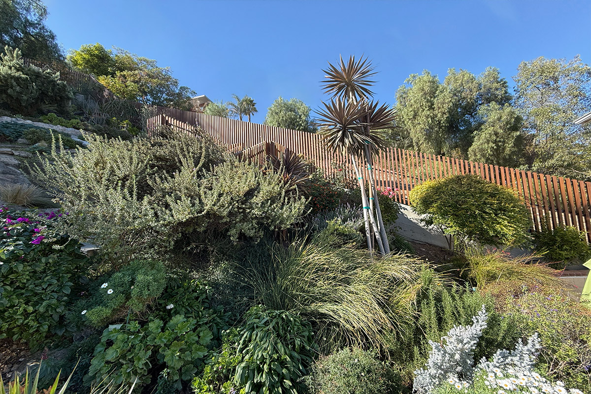 Otherwind California - Ave 37 - Garden