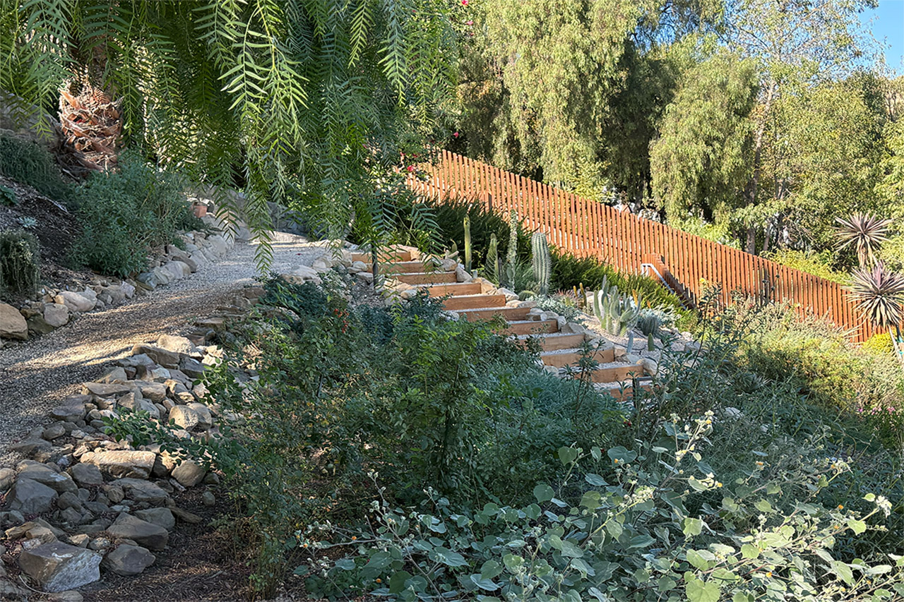 Placeholder Image 1