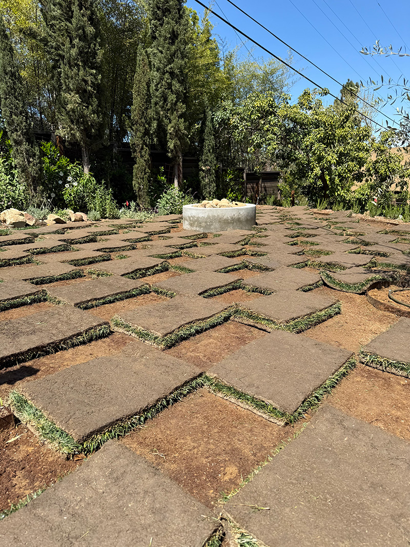 Otherwind California - Silver Ridge